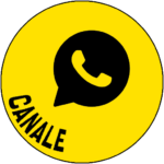 Canale WhatsApp - 883 Collection